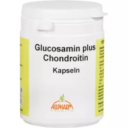 GLUCOSAMIN+CHONDROITIN kapsulės, 120 vnt