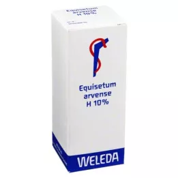 EQUISETUM ARVENSE H 10% aliejinis įtrinimas, 50 ml