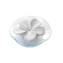 DUFTSTEIN Frangipani stiklo plokštė permatoma, 1 vnt