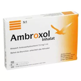 AMBROXOL Inhaliacinis tirpalas purkštuvui, 20X2 ml