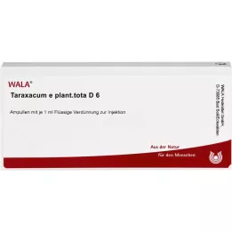TARAXACUM E augalas.iš viso D 6 ampulės, 10X1 ml
