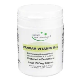 PANGAM Vitaminas B15 Vegi kapsulės, 180 vnt