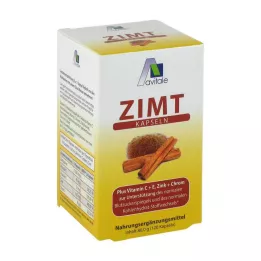 ZIMT KAPSELN 500 mg+Vitaminas C+E, 120 vnt