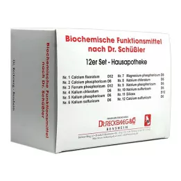 BIOCHEMIE Rinkinys 12, 12X200 vnt
