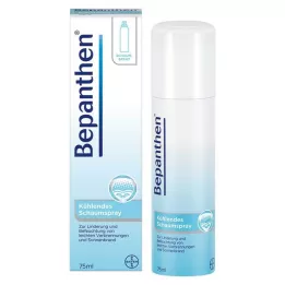 BEPANTHEN Purškiamas putas, 75 ml