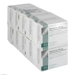 NEPHROTRANS 840 mg skrandyje neirios kapsulės, 500 vnt