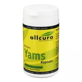 YAMS Kapsulės 250 mg jamo miltelių, 60 vnt