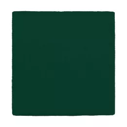 MULLKOMPRESSEN 10x10 cm 12 kartų žalia, 100 vnt
