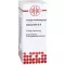 COLOCYNTHIS D 8 Skiedimas, 20 ml