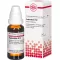 EUPHORBIUM D 12 Skiedimas, 20 ml