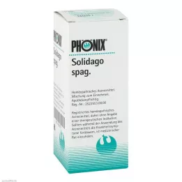 PHÖNIX SOLIDAGO mišinio, 100 ml
