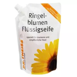 DR.THEISS Medetkų muilo užpildymo maišelis, 500 ml