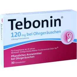 TEBONIN 120 mg nuo spengimo ausyse, plėvele dengtos tabletės, 30 vnt