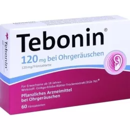 TEBONIN 120 mg nuo spengimo ausyse, plėvele dengtos tabletės, 60 vnt