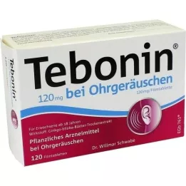 TEBONIN 120 mg nuo spengimo ausyse, plėvele dengtos tabletės, 120 vnt