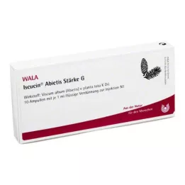ISCUCIN abietis Strength G ampulės, 10X1 ml