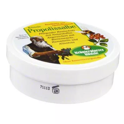 PROPOLIS SALBE N, 100 ml PROPOLIS SALBE N, 100 ml