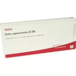GALEA aponeurotica GL D 8 ampulės, 10X1 ml