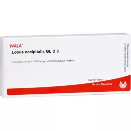 LOBUS occipitalis GL D 8 ampulės, 10X1 ml