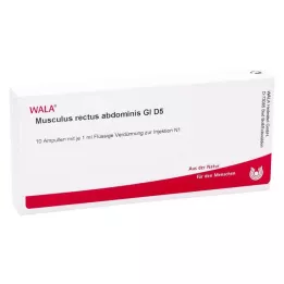 MUSCULUS RECTUS abdominis GL D 5 ampulės, 10X1 ml