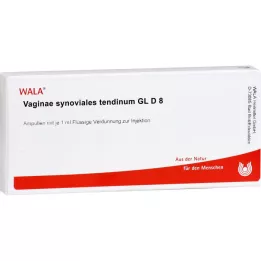 VAGINAE sinovinė sausgyslė GL D 8 ampulės, 10X1 ml