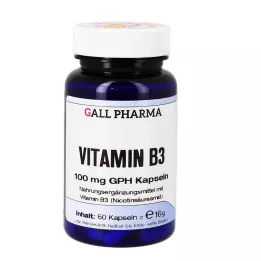 VITAMIN B3 100 mg GPH kapsulės, 60 vnt