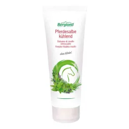 Šaldomasis arklių tepalas (100 ml)