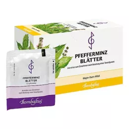 PFEFFERMINZBLÄTTER Arbatos filtrų maišeliai, 20X1,5 g