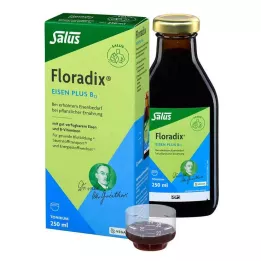 FLORADIX Iron plus B12 veganinis tonikas, 250 ml