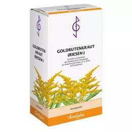 GOLDRUTENKRAUT Milžiniška arbata, 100 g