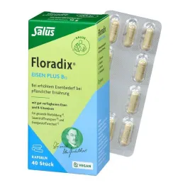 Floradix iron plus B12 vegan kapsulės, 40 vnt
