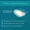 COMPEED Lizdinis gipso terpė, 5 vnt