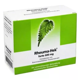 RHEUMA HEK forte 600 mg plėvele dengtos tabletės, 100 vnt