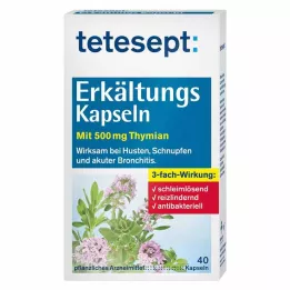 TETESEPT Šalčio kapsulės, 40 vnt