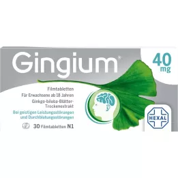GINGIUM Plėvele dengtos tabletės, 30 vnt