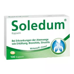 SOLEDUM 100 mg skrandyje neirios kapsulės, 100 vnt