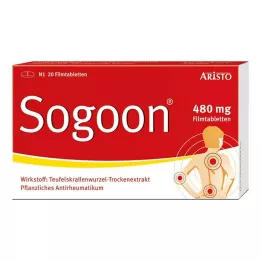 SOGOON 480 mg plėvele dengtos tabletės, 20 vnt