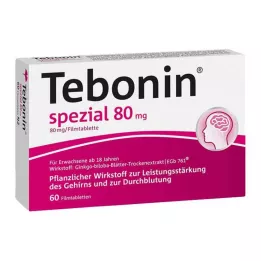 TEBONIN specialios 80 mg plėvele dengtos tabletės, 60 vnt