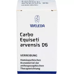 CARBO EQUISETI arvensis D 6 Trituracija, 20 g