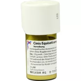 CINIS EQUISETI arvensis D 3 Trituracija, 20 g