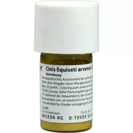 CINIS EQUISETI arvensis D 6 Trituracija, 20 g