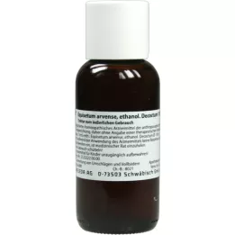 EQUISETUM ARVENSE etanolis.Decoctum 10% tinktūra, 100 ml