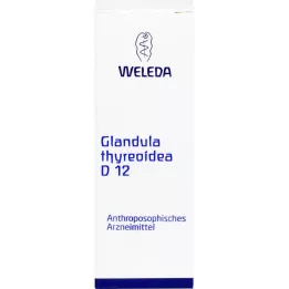 GLANDULA THYREOIDEA D 12 Skiedimas, 50 ml