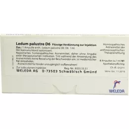 LEDUM PALUSTRE D 6 ampulės, 8 vnt