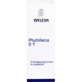 PHYTOLACCA D 1 skiedimas, 20 ml