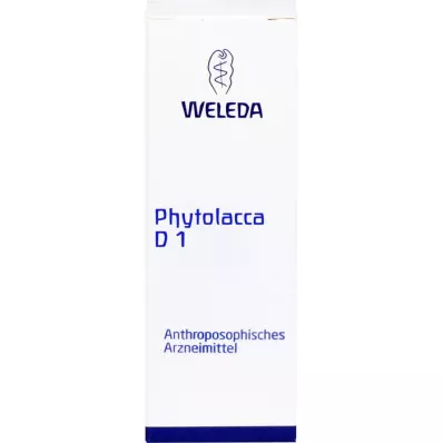 PHYTOLACCA D 1 skiedimas, 20 ml