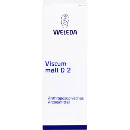 VISCUM MALI D 2 praskiedimas, 50 ml