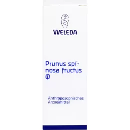 PRUNUS SPINOSA FRUCTUS Motinos tinktūra, 50 ml