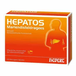 HEPATOS Pieno erškėtrožių tabletės, 100 vnt