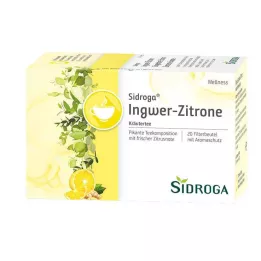 SIDROGA Wellness imbiero-citrinos arbatos filtravimo maišeliai, 20X2,0 g